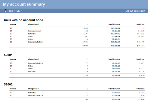 Account Summary Report