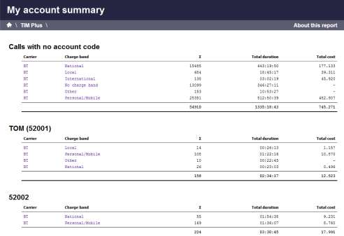 Account Summary Report